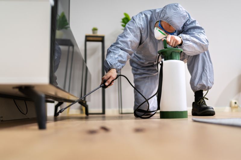 Spider Fumigation Service in Franklin, TN